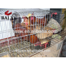 Buena y jaula de precio de promoción para gallinas ponedoras